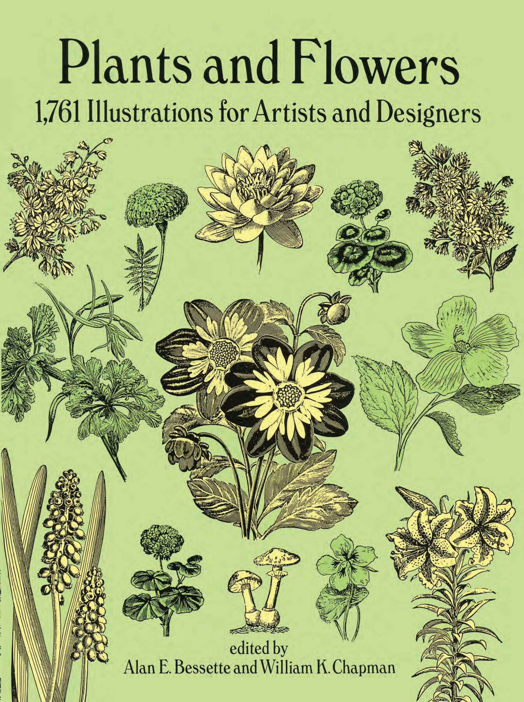 Plants and Flowers – Dover Publications