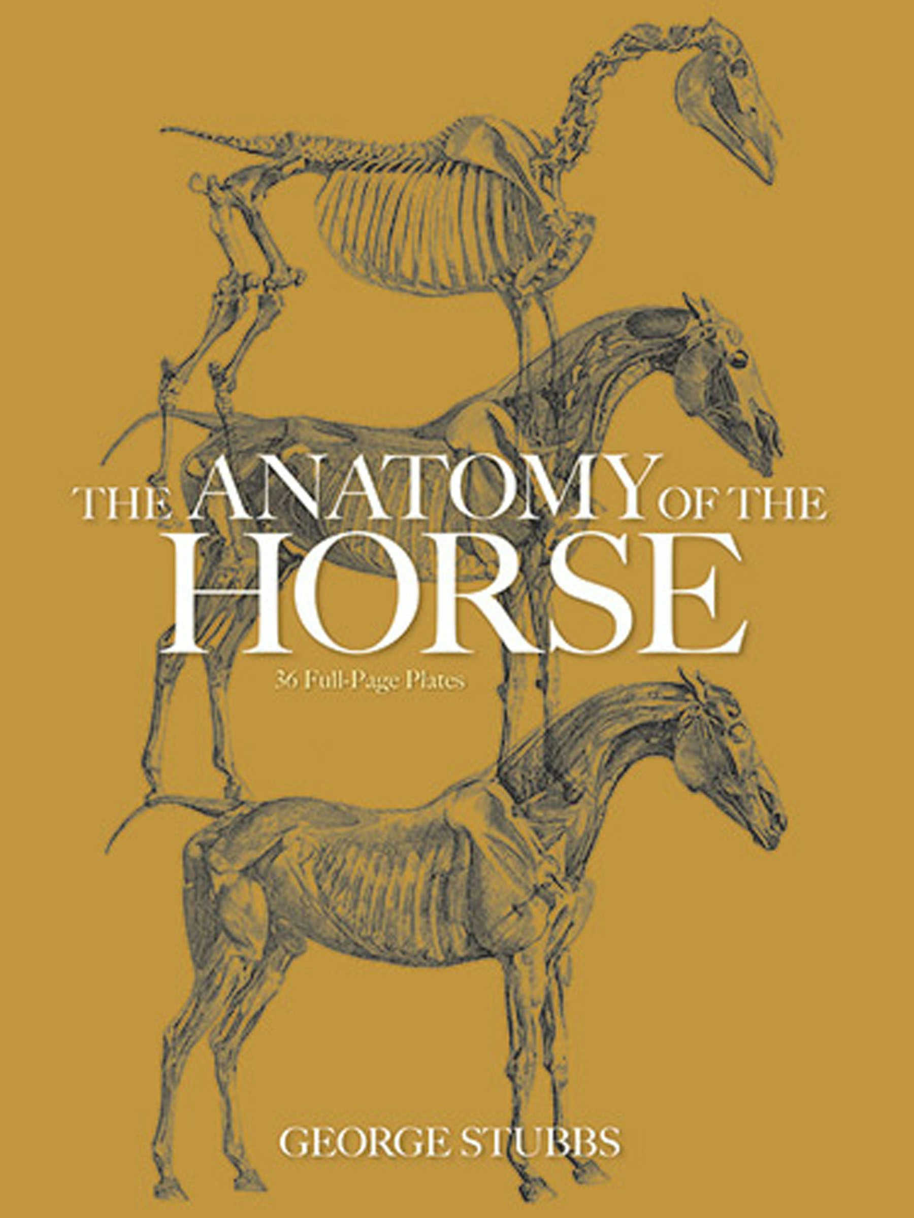 The Anatomy of the Horse – Dover Publications