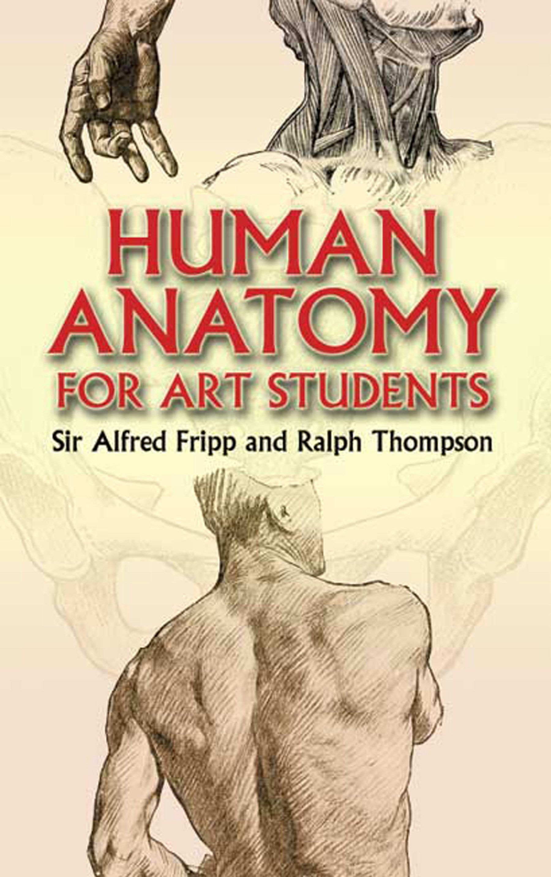 Human Anatomy for Art Students – Dover Publications