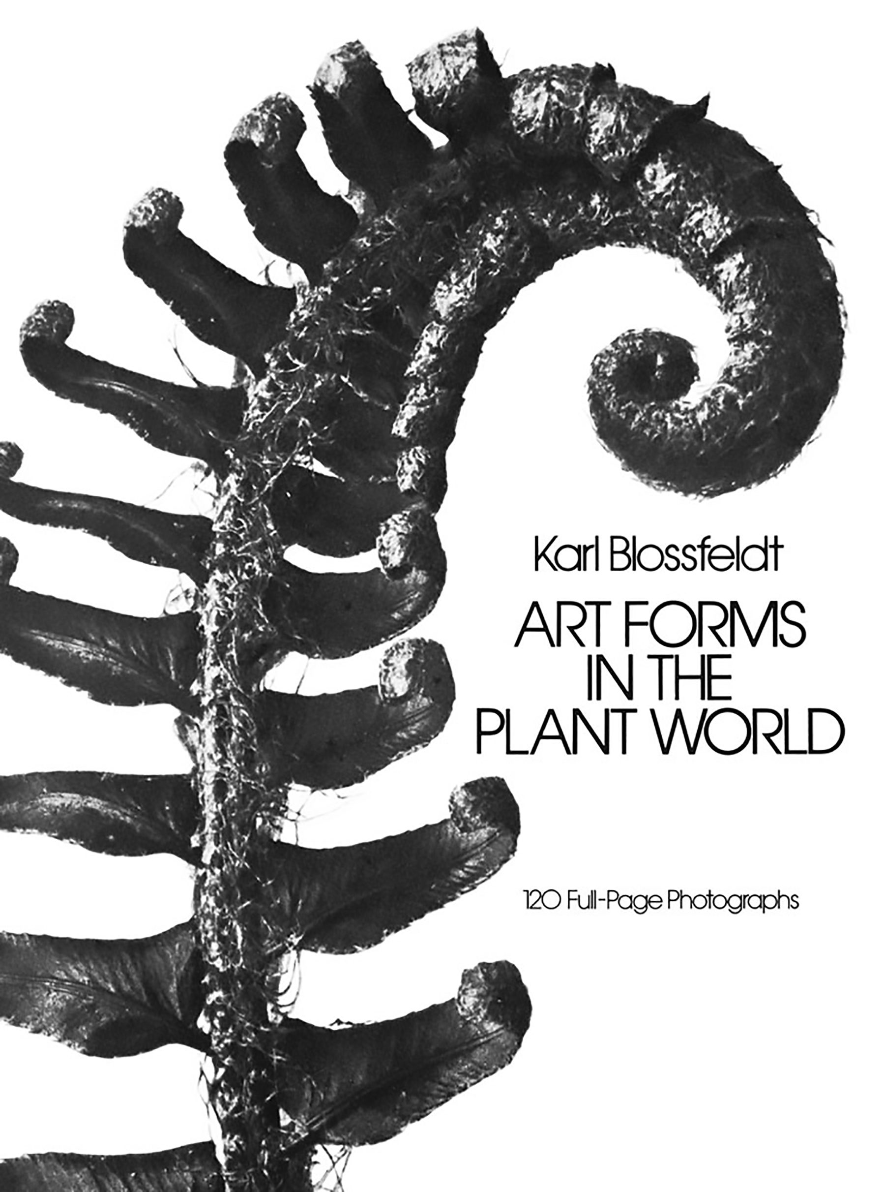 Art Forms in the Plant World – Dover Publications