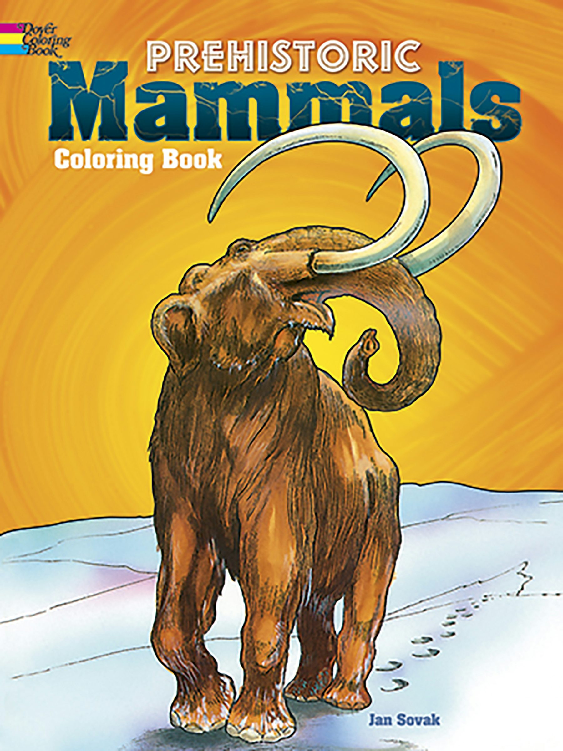 洋書 CLASSIC NATURAL HISTORY PRINTS MAMMALS Classic Natural History Prints: Mammals: Rh Value Publishing