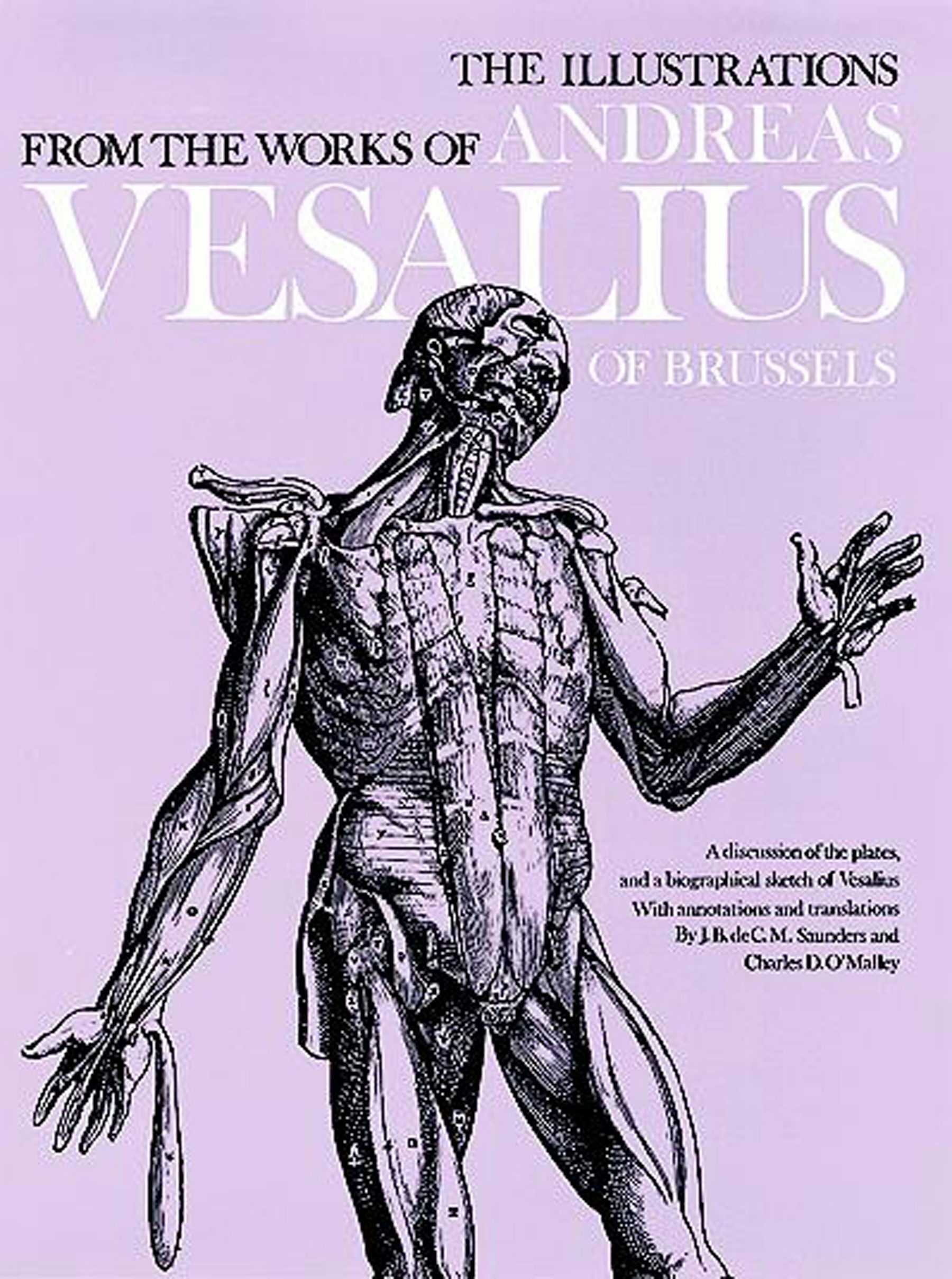 ANDREAS VESALIUS 解剖学イラスト The Illustrations from the Works of Andreas Vesalius of Brussels