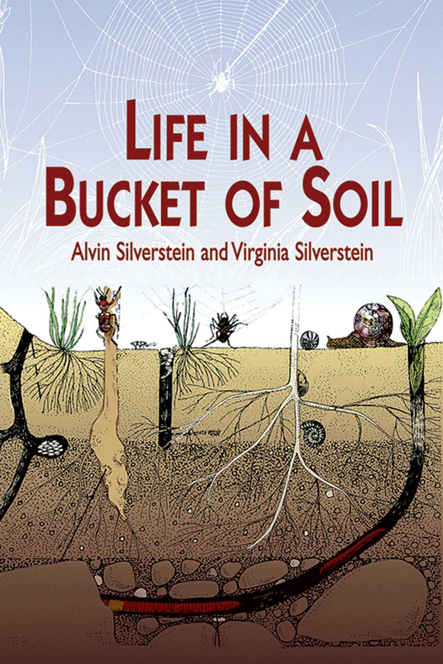 Life in a Bucket of Soil – Dover Publications