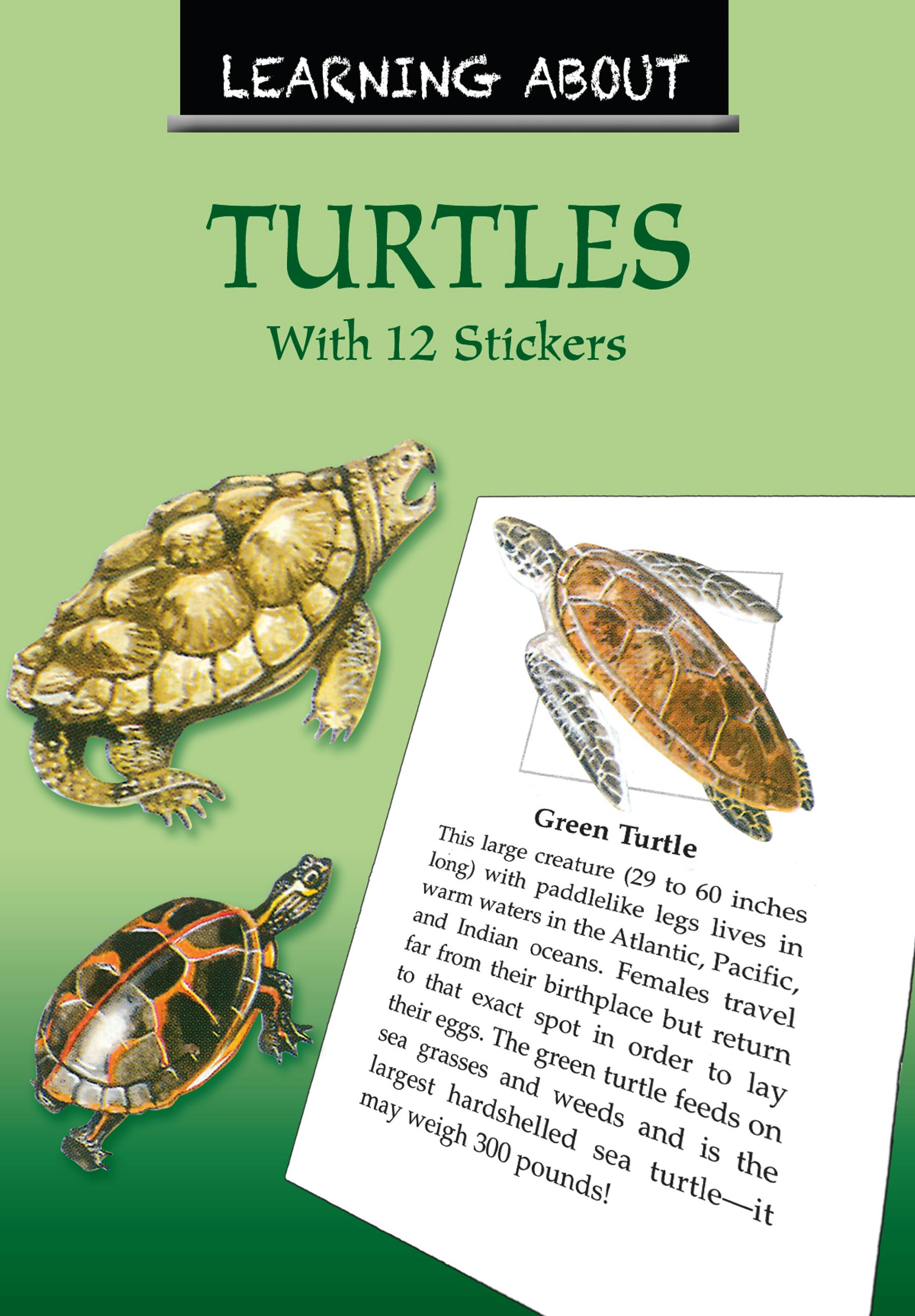 Learning About Turtles – Dover Publications