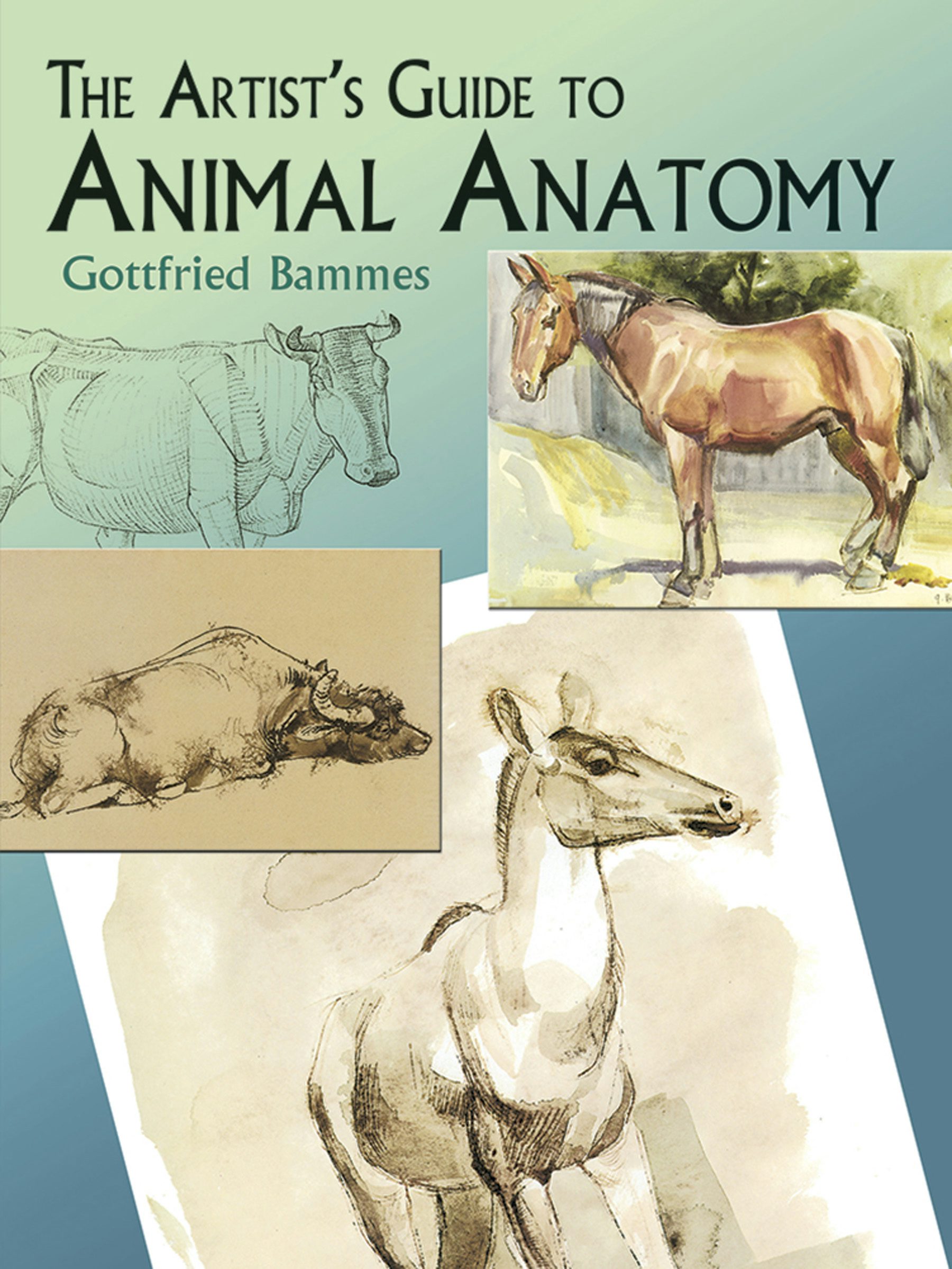 The Artist's Guide to Animal Anatomy – Dover Publications
