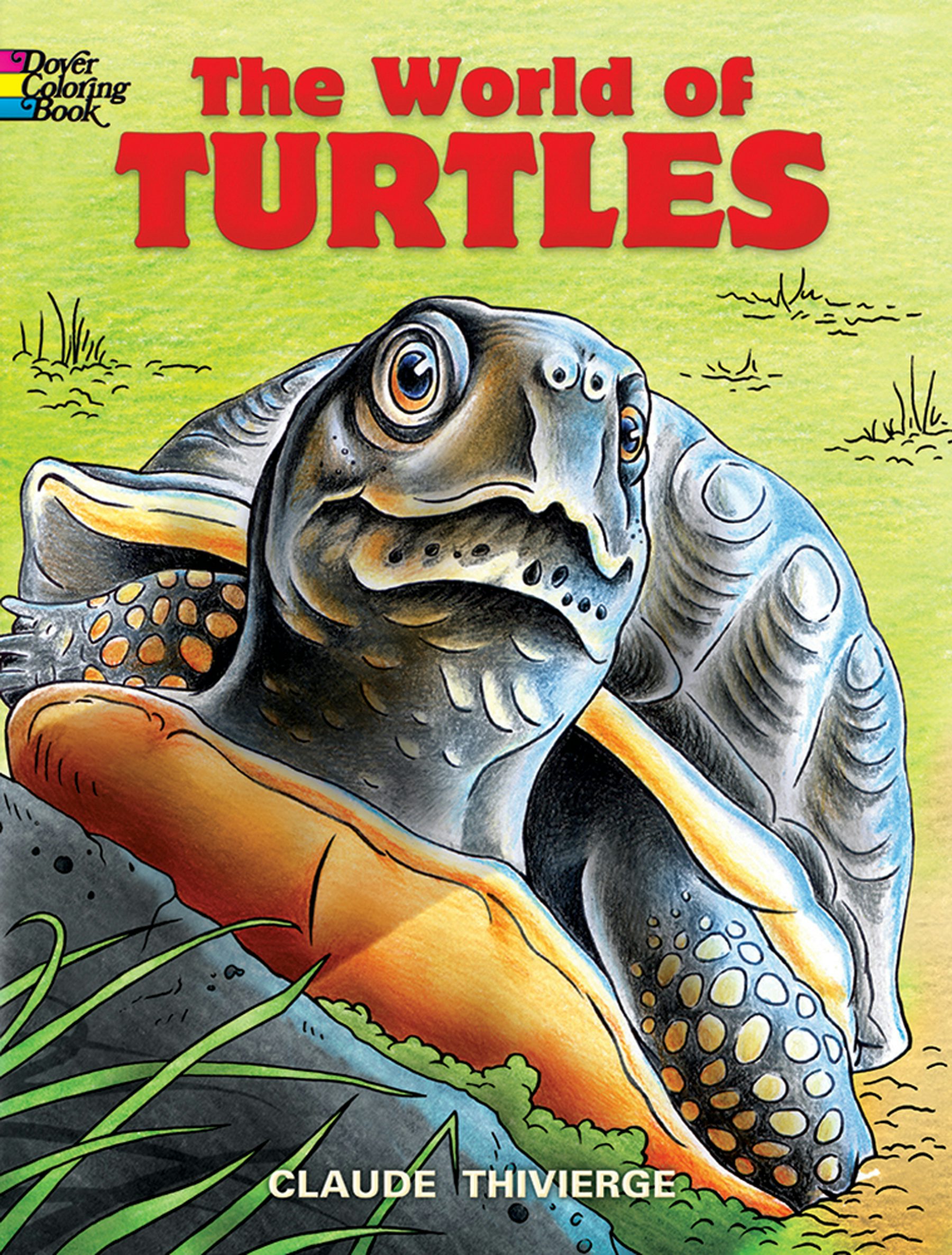 The World of Turtles Coloring Book – Dover Publications