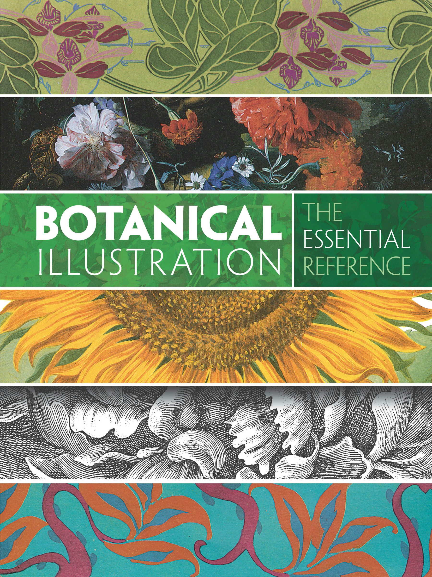 Botanical Illustration: The Essential Reference – Dover Publications