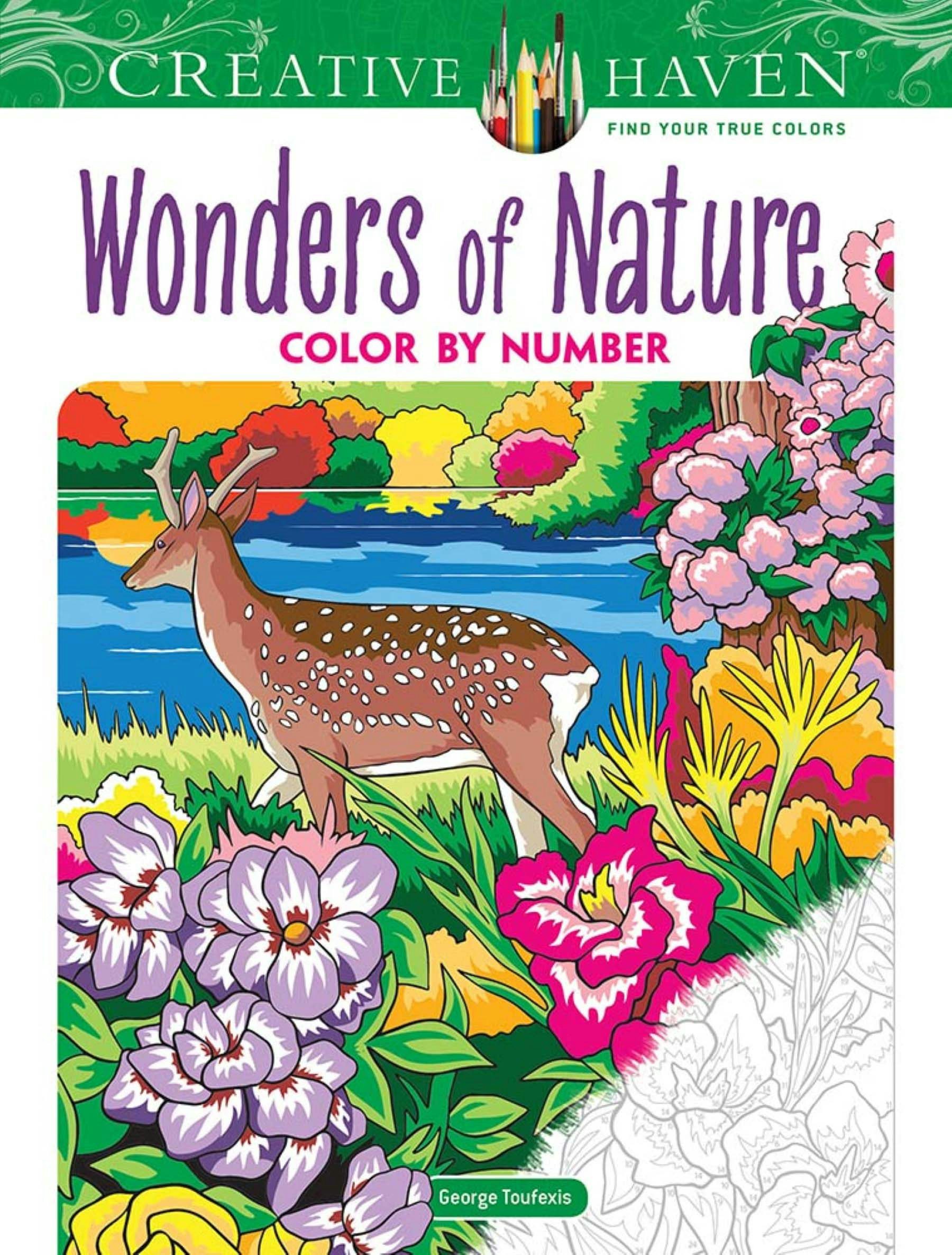 COLORS「HEAVEN」1995年⑫【海外雑誌・洋書】❸ Adult-Coloring-Creative-Haven-