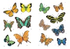 Little Butterfly Stickers