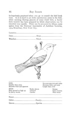 Boy Scouts Handbook