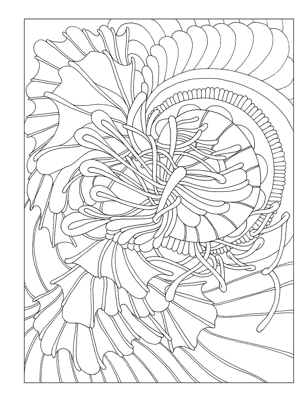 Creative Haven Serenity Coloring Book – Dover Publications