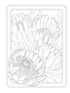 Creative Haven Flowers of the World Coloring Book