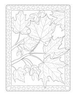 Creative Haven Flowers of the World Coloring Book