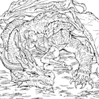 Dragon Riders
