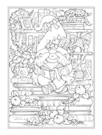 Gnomes at Home Coloring Book