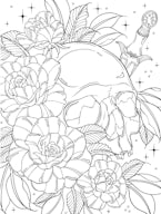 Enemies to Lovers: A Romantasy Coloring Book